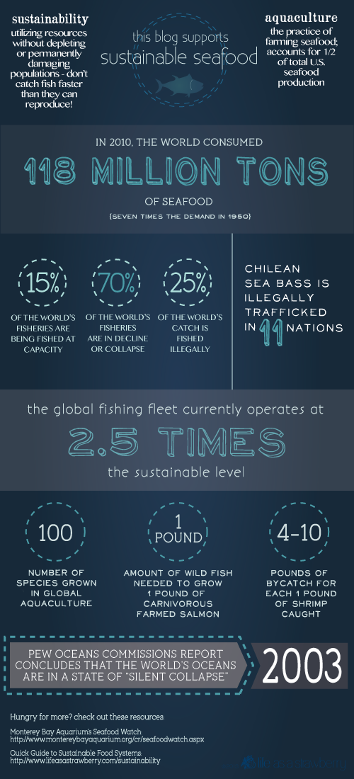 Sustainable Seafood Blog Project Infographic | Fork Knife Swoon