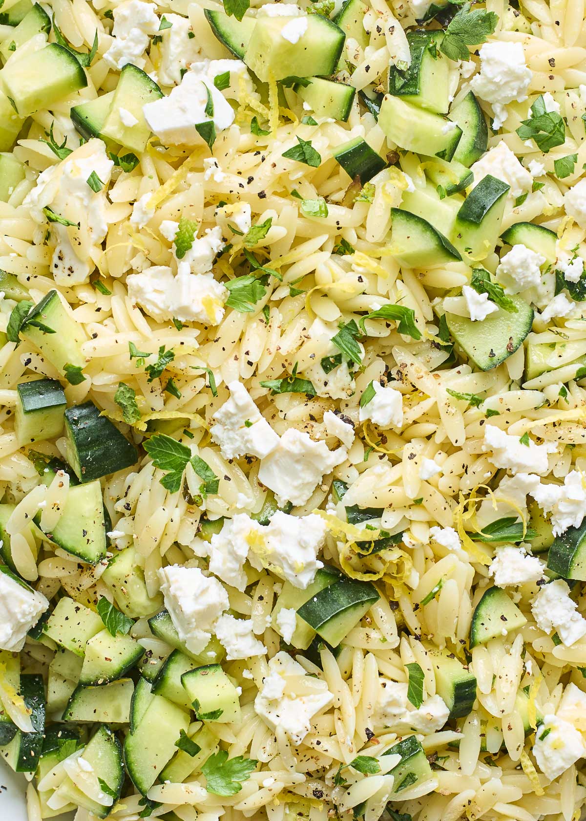 close up of lemon orzo pasta salad with cucumber, feta, and fresh herbs.