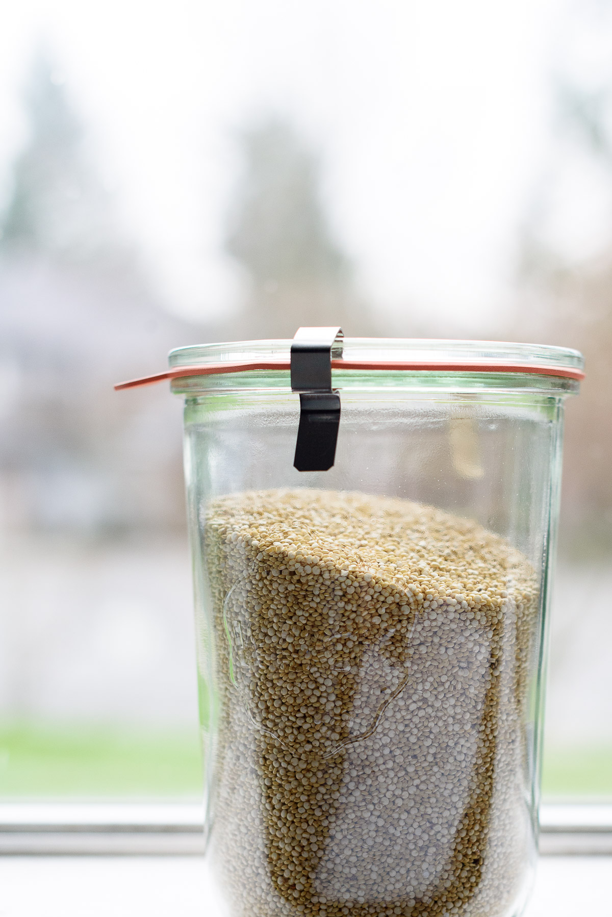 Dry quinoa in a glass Weck storage jar in overcast window light.