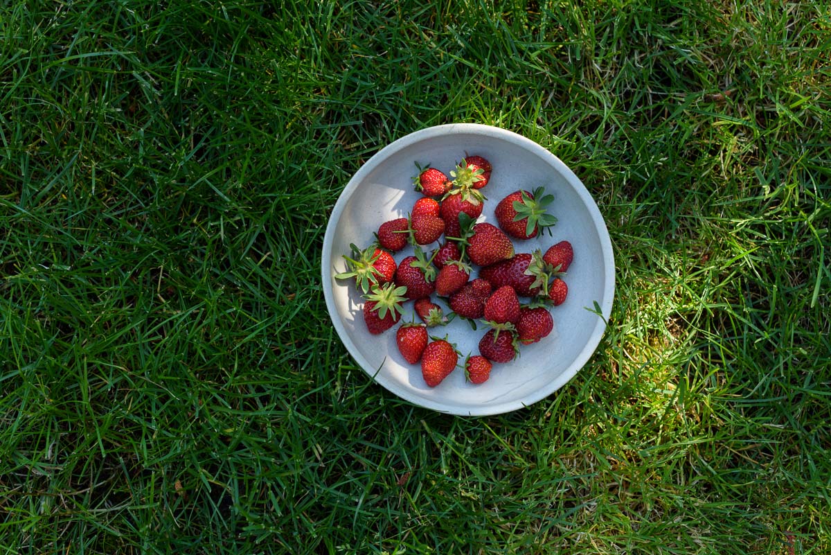 Freshly picked strawberries in a grey ceramic bowl sitting in the grass.