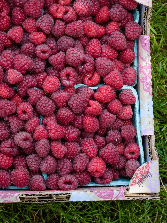 Fresh raspberries via forkknifeswoon.com