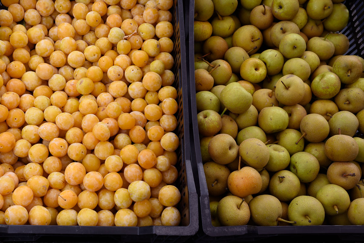 Asian pears and small yellow plums in farmers market baskets