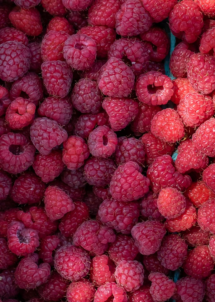 a closeup of fresh raspberries in dappled sunlight.