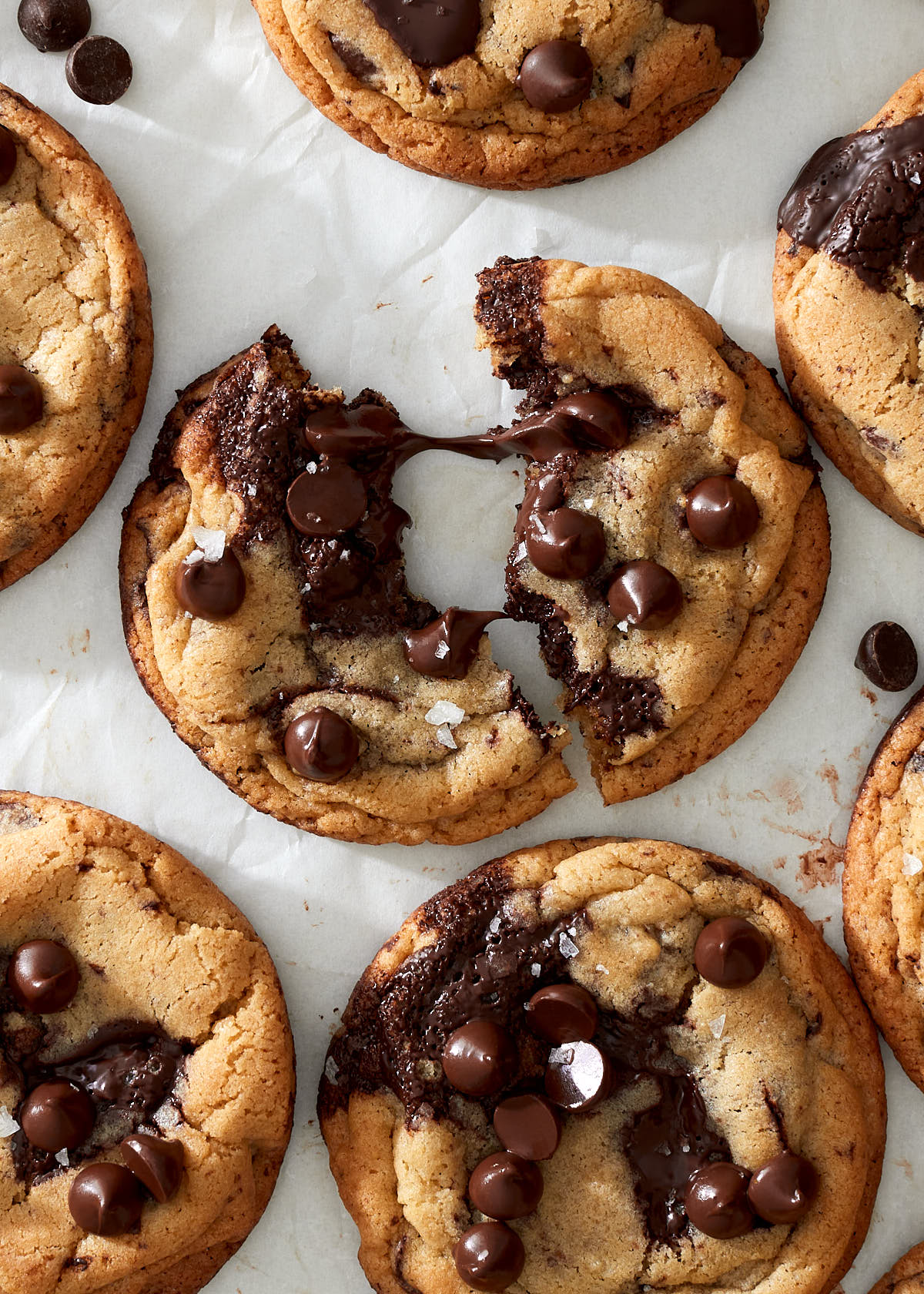 A closeup of warm and gooey chocolate chip cookies, fresh from the oven.
