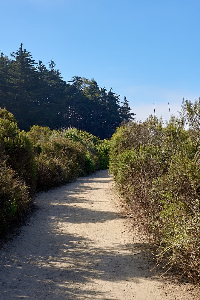 Santa Barbara beach pathway