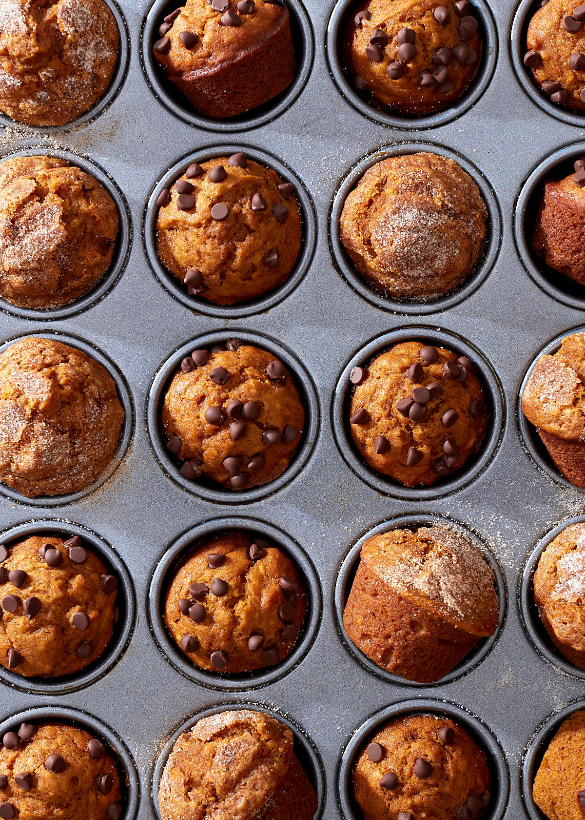 Mini pumpkin muffins, topped with cinnamon sugar and chocolate chips, in a muffin tin.