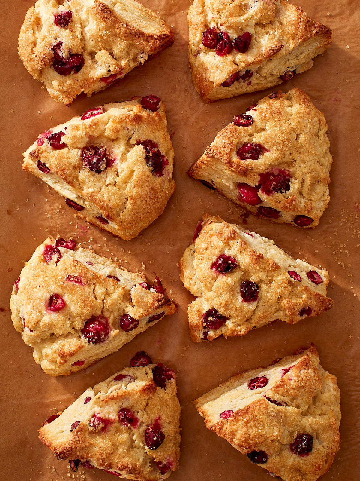 Cranberry scones, fresh from the oven, on a baking sheet.