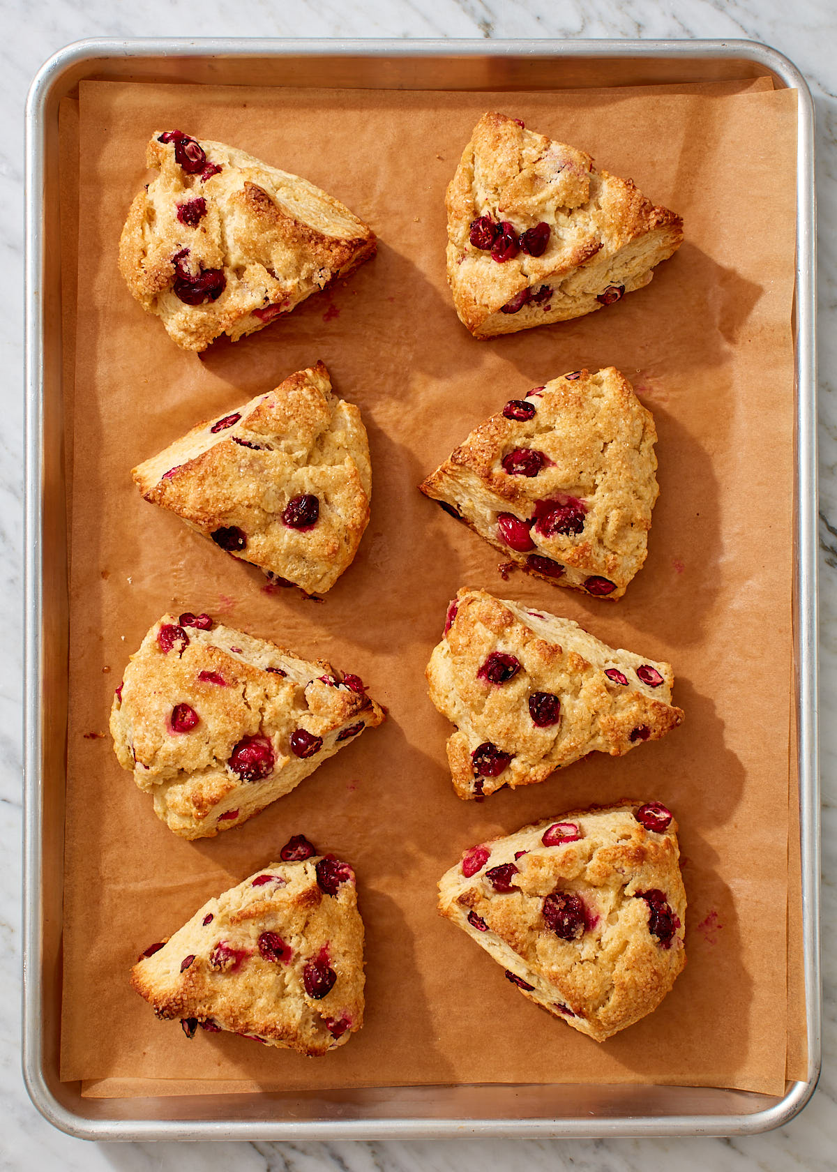 Cranberry scones, fresh from the oven, on a baking sheet.