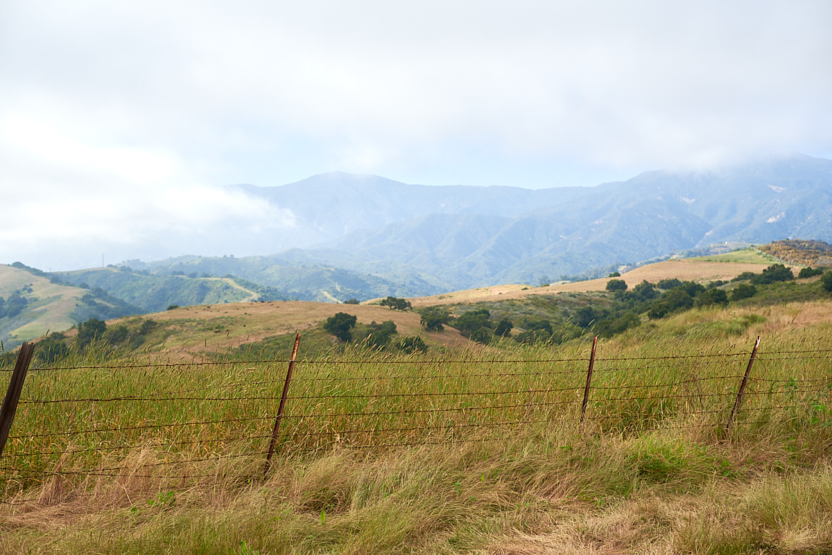 A foggy morning on the Gaviota coast in Santa Barbara county. A barb wire fence on the edge of grassy ranch land with rolling hills in the distance.